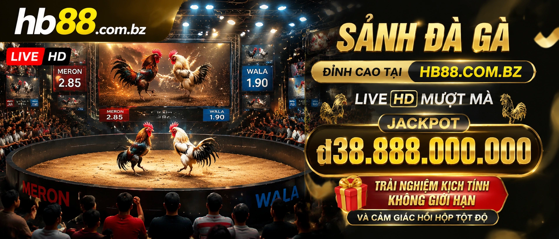 Đá Gà Thomo và Live Đá Gà